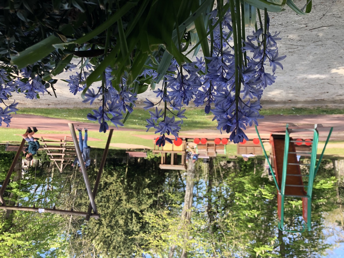 Parcours d'orientation - Parc de la Baleine