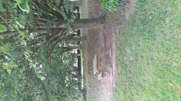 Aire de Pique Nique > église