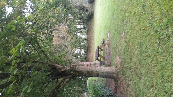 Aire de Pique Nique > église - photo 3