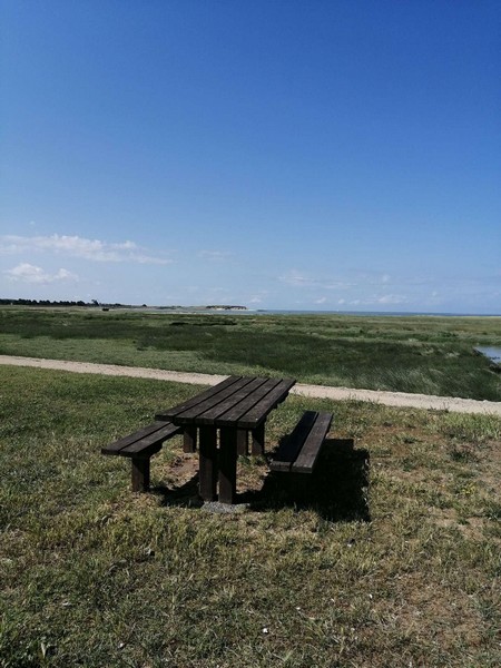 Aire de Pique Nique > Bord du havre - photo 2