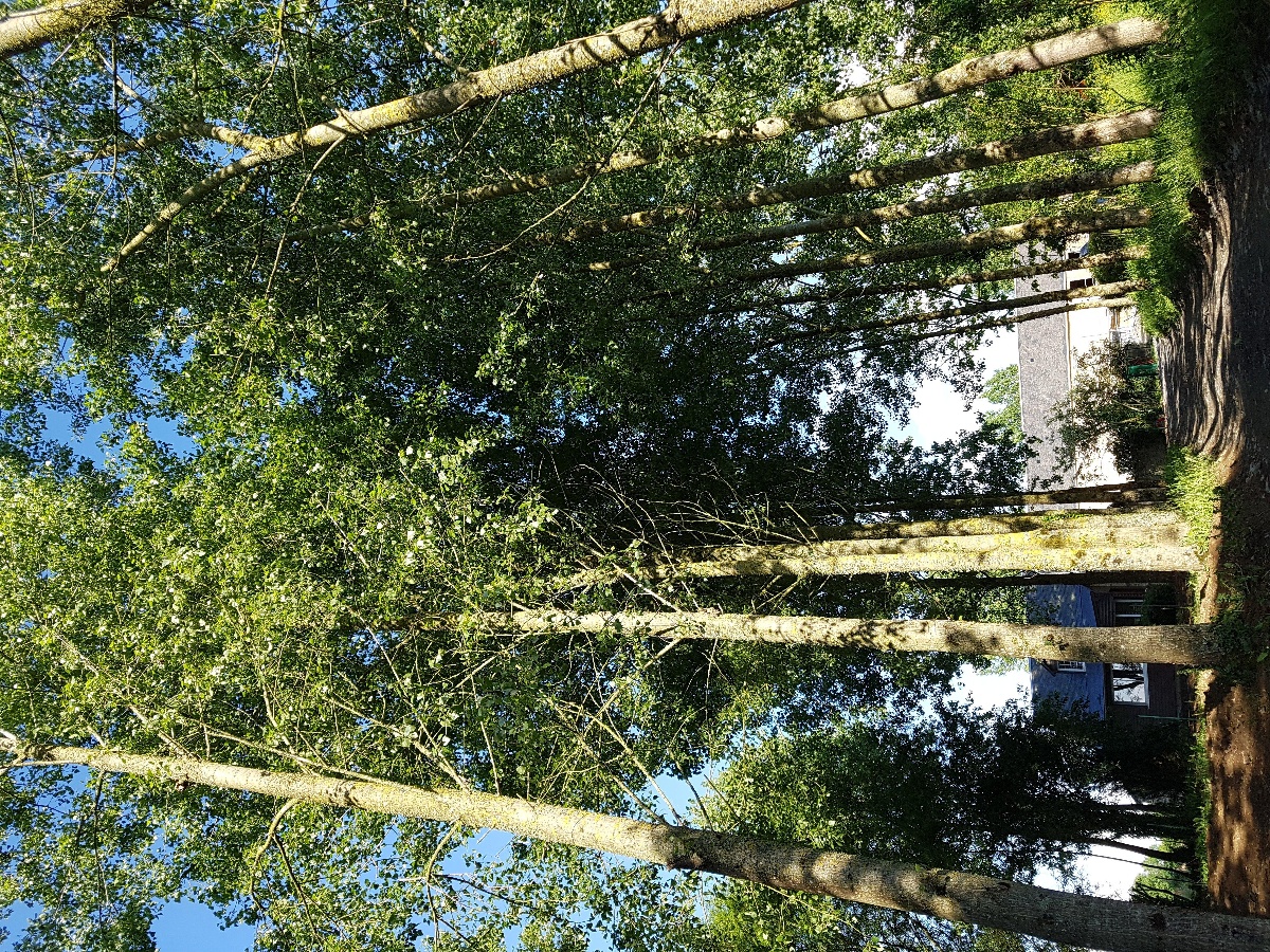 Chambres d'hôtes "Domaine de la Fauvrière"