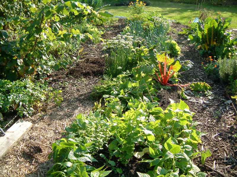 Chambres d'hôtes > Idunn, Picauville - photo 6