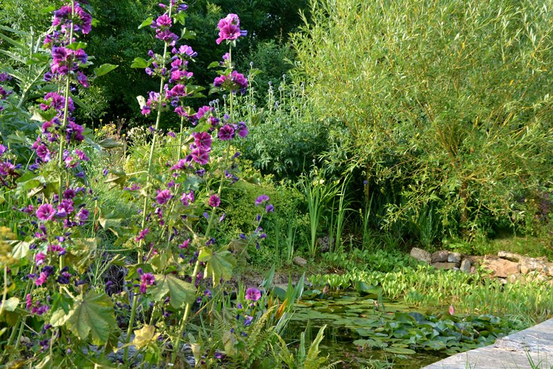 Chambres d'hôtes > Idunn, Picauville - photo 7