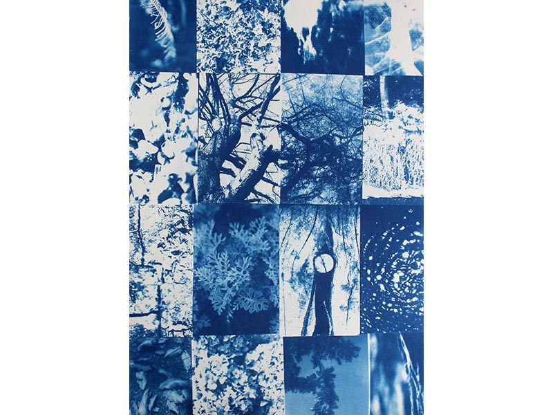 Exposition "Symbiose"