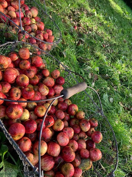 Cidrerie Christophe et Lydie, Hambye