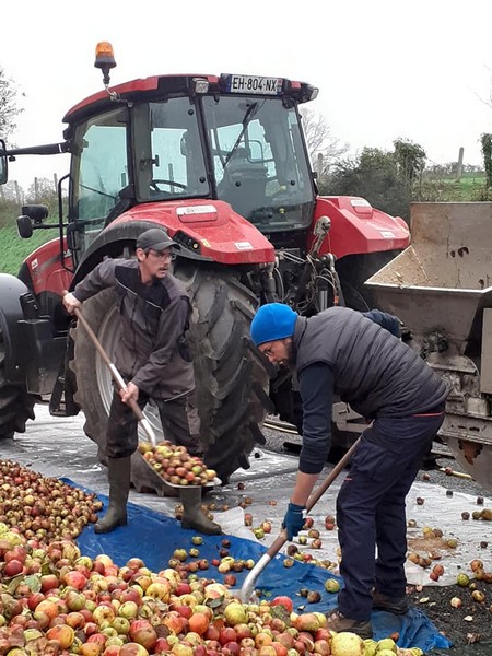 Cidrerie Christophe et Lydie, Hambye - photo 6