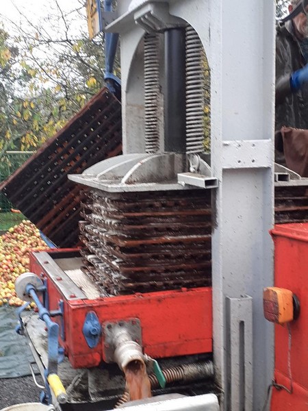 Cidrerie Christophe et Lydie, Hambye - photo 5