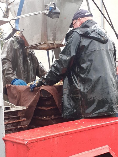 Cidrerie Christophe et Lydie, Hambye - photo 2