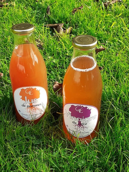 Cidrerie Christophe et Lydie, Hambye - photo 7