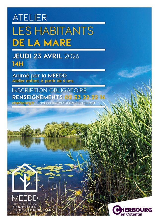 Les habitants de la mare