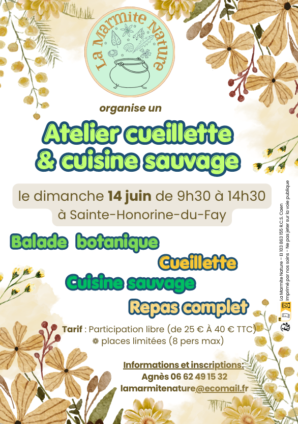 Atelier Cueillette et Cuisine Sauvage