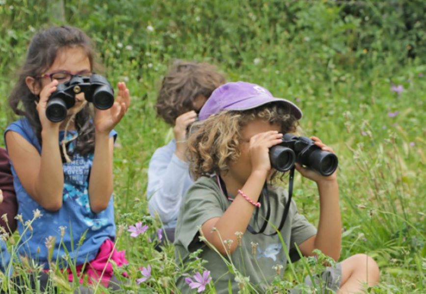 Atelier nature : à la découverte des oiseaux (6-12 ans)