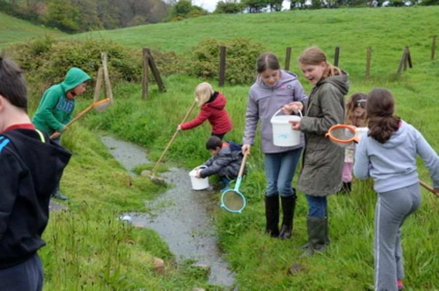 Atelier-nature (3-5 ans) : autour de la mare