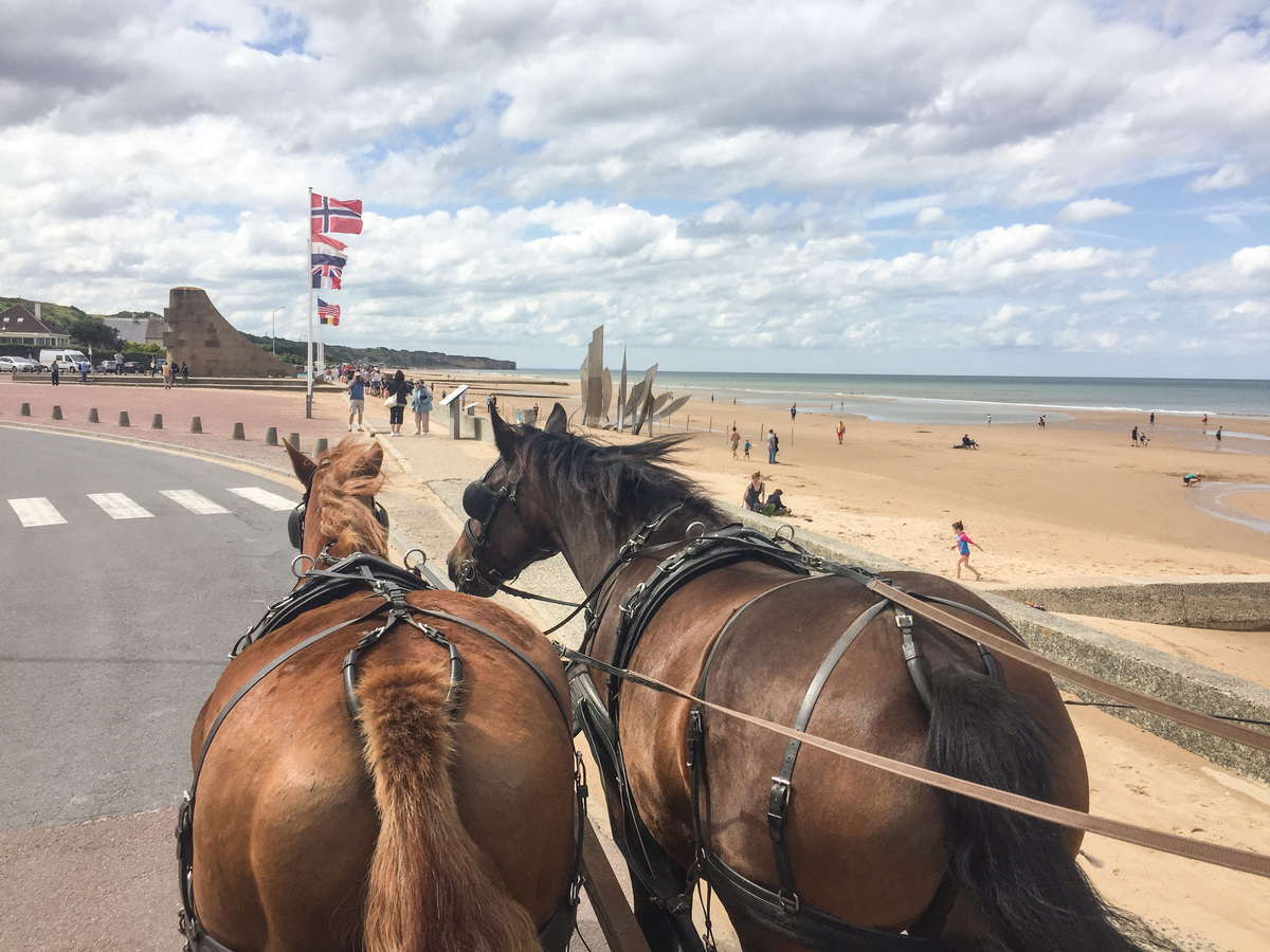Raconte-moi le D-Day sur Omaha en attelage