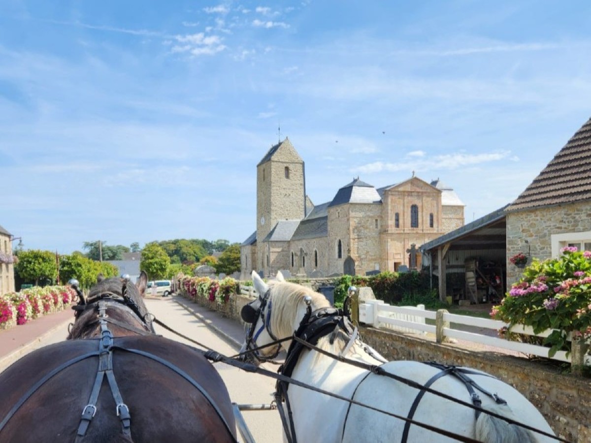 Balades attelées à Digosville