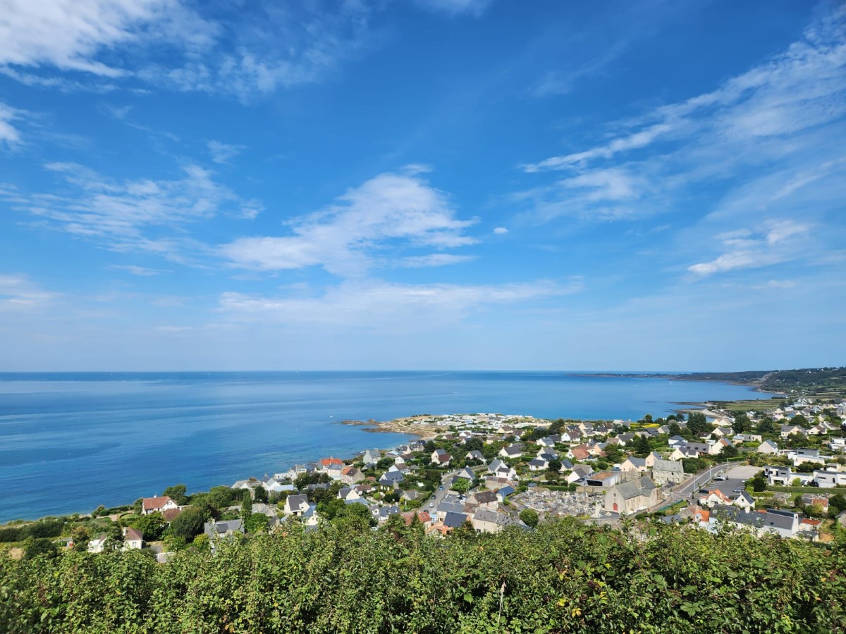 Balades attelées à Digosville - photo 5