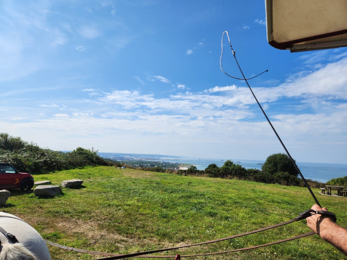 Balades attelées à Digosville - photo 3