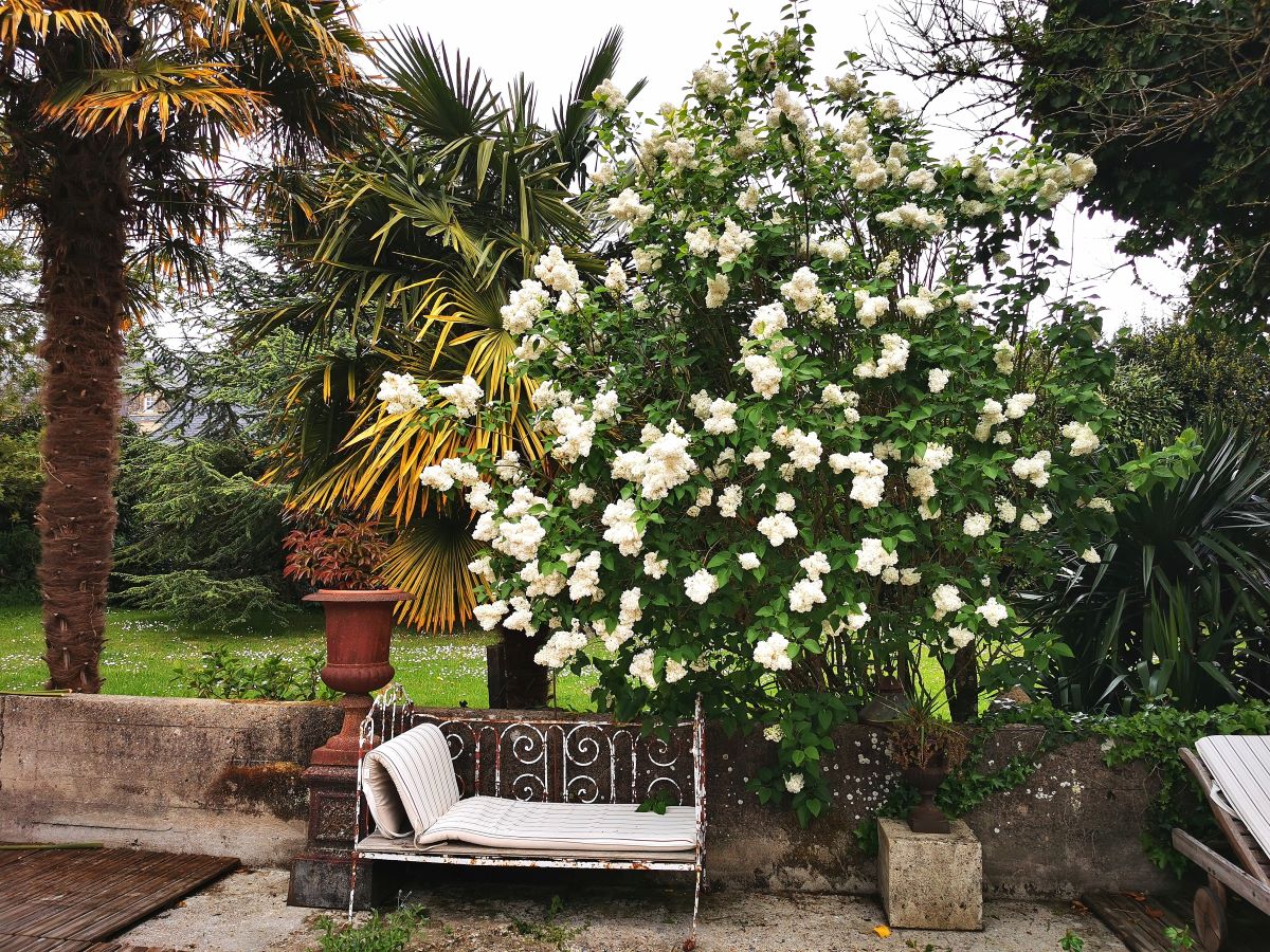 Meublé de tourisme > La Jardinerie, Aumeville-Lestre - photo 8