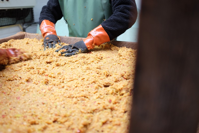 Maison Hérout, Auvers - photo 3
