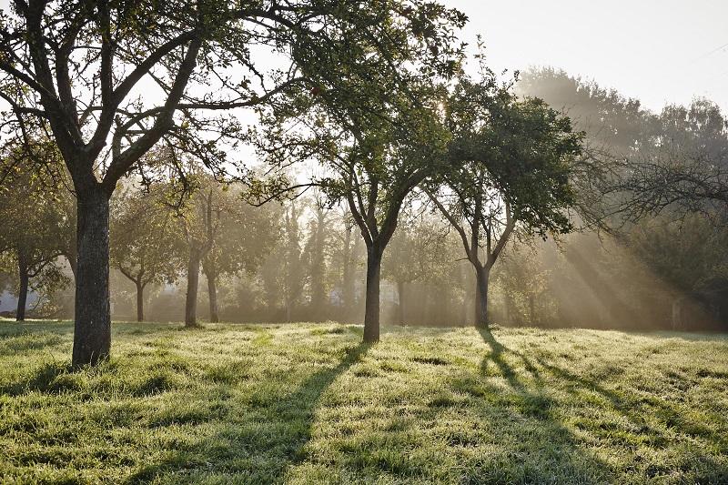 Maison Hérout, Auvers - photo 6