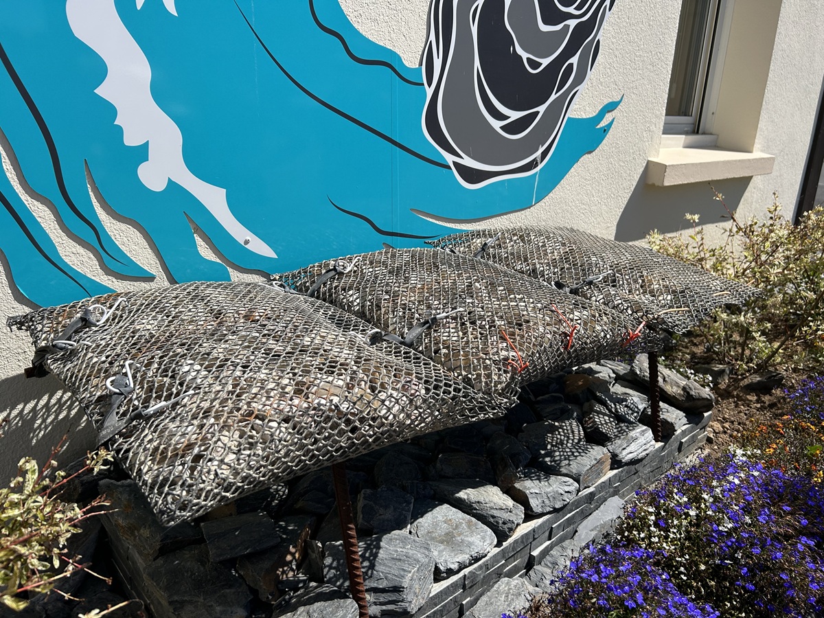 Un port, une île, des huîtres : une histoire courseullaise