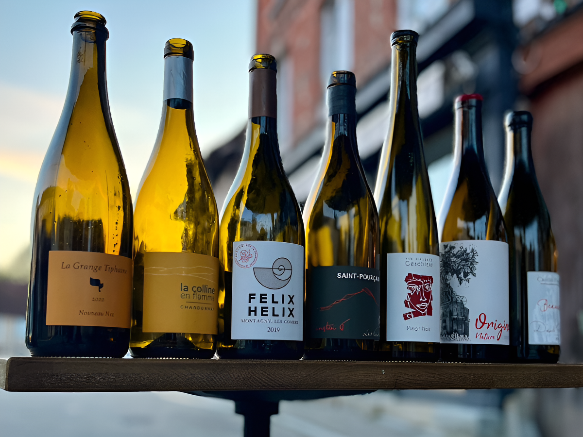 Aux Saints Jus, Mézidon Vallée d'Auge - photo 8