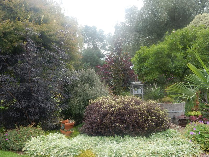 Jardin La Bosquerie, Auxais - photo 5