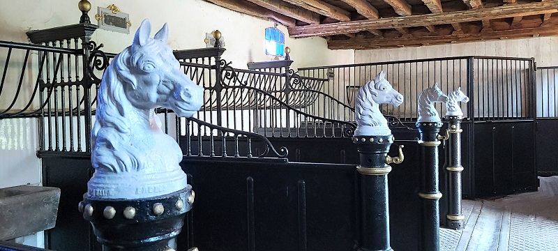 Visite des intérieurs du Château de Chantore, Bacilly - photo 2