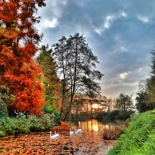 Parc du Château de Chantore, Bacilly - photo 4