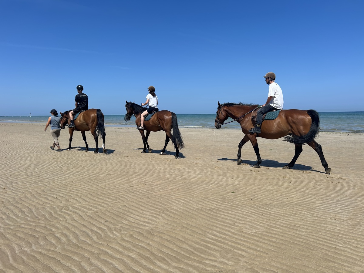 Courseulles équitation