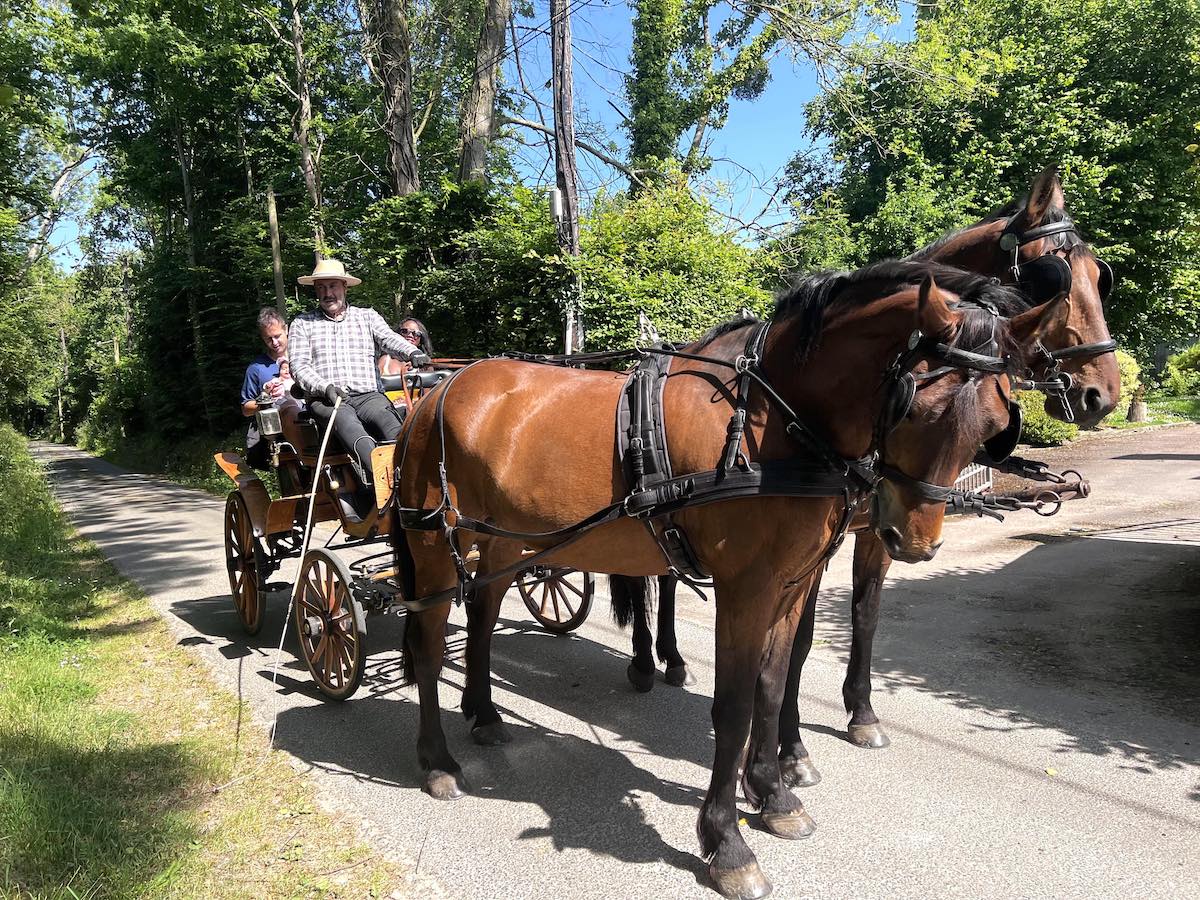 Balade en calèche dans la campagne augeronne - photo 3