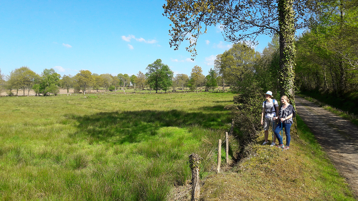 Le marais de Truttemer