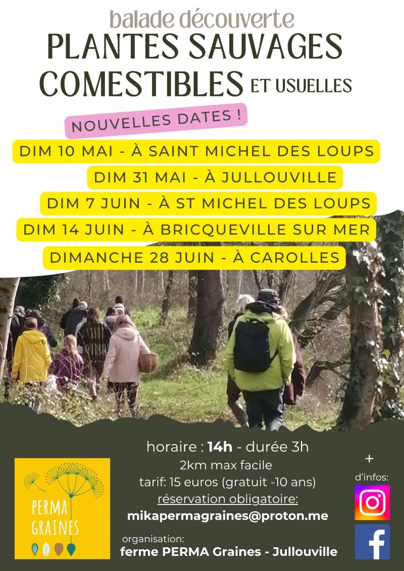 Balade plantes sauvages comestibles — visuel événement