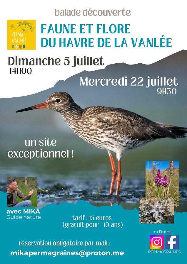 Balade découverte de la faune et de la flore du Havre de la Vanlée — visuel événement