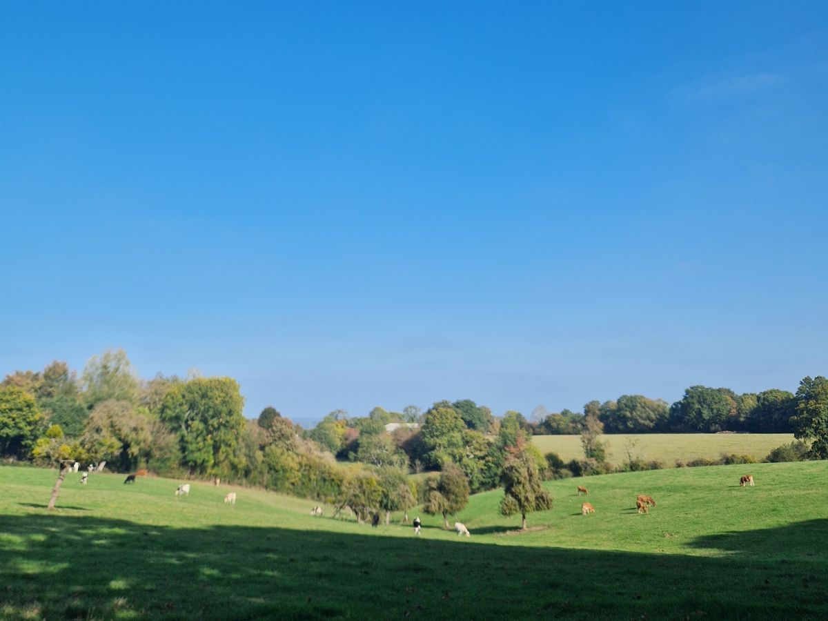 La boucle Notre-Dame