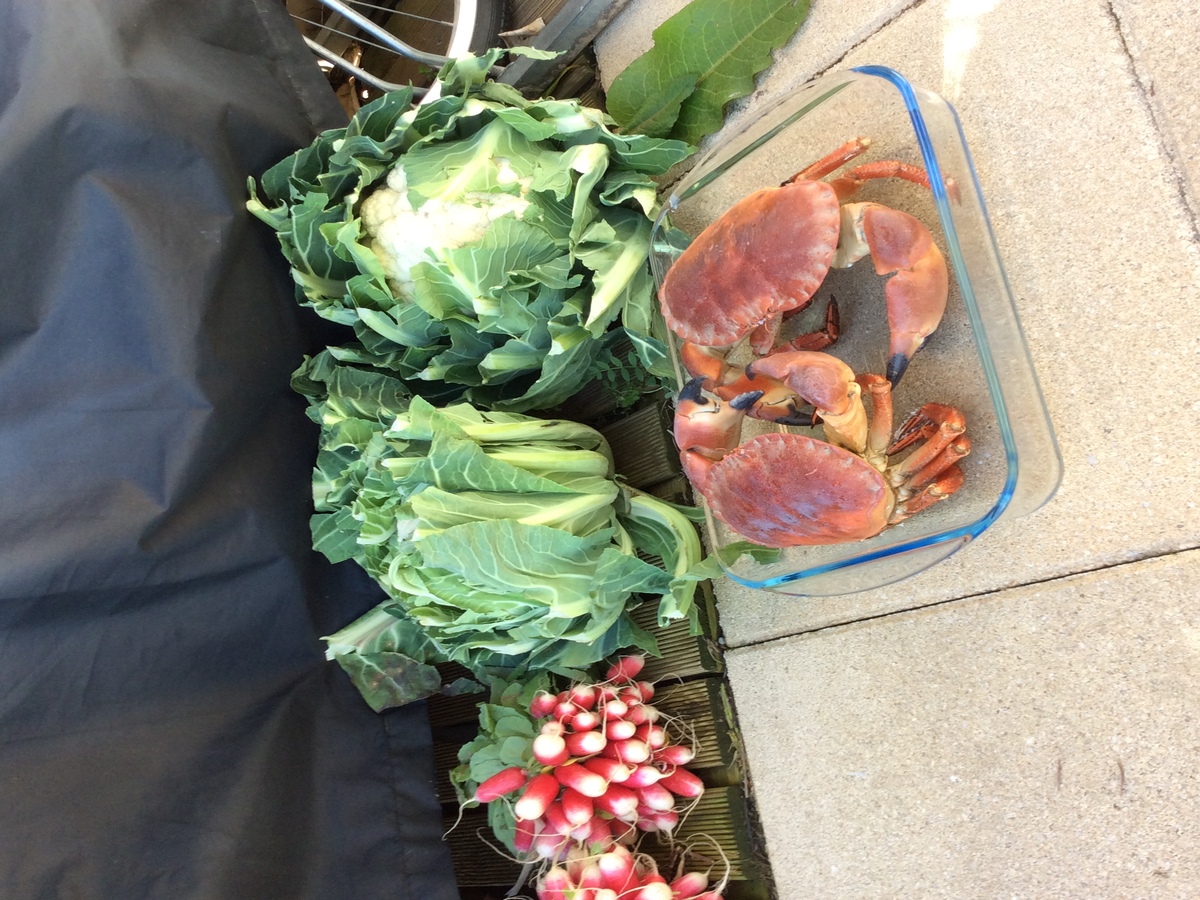 Meublé de tourisme > Le Bautier de Barfleur, Barfleur - photo 7