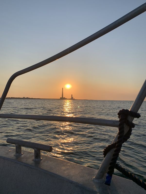 Barfleur en Mer - Bateau Promenade - photo 4