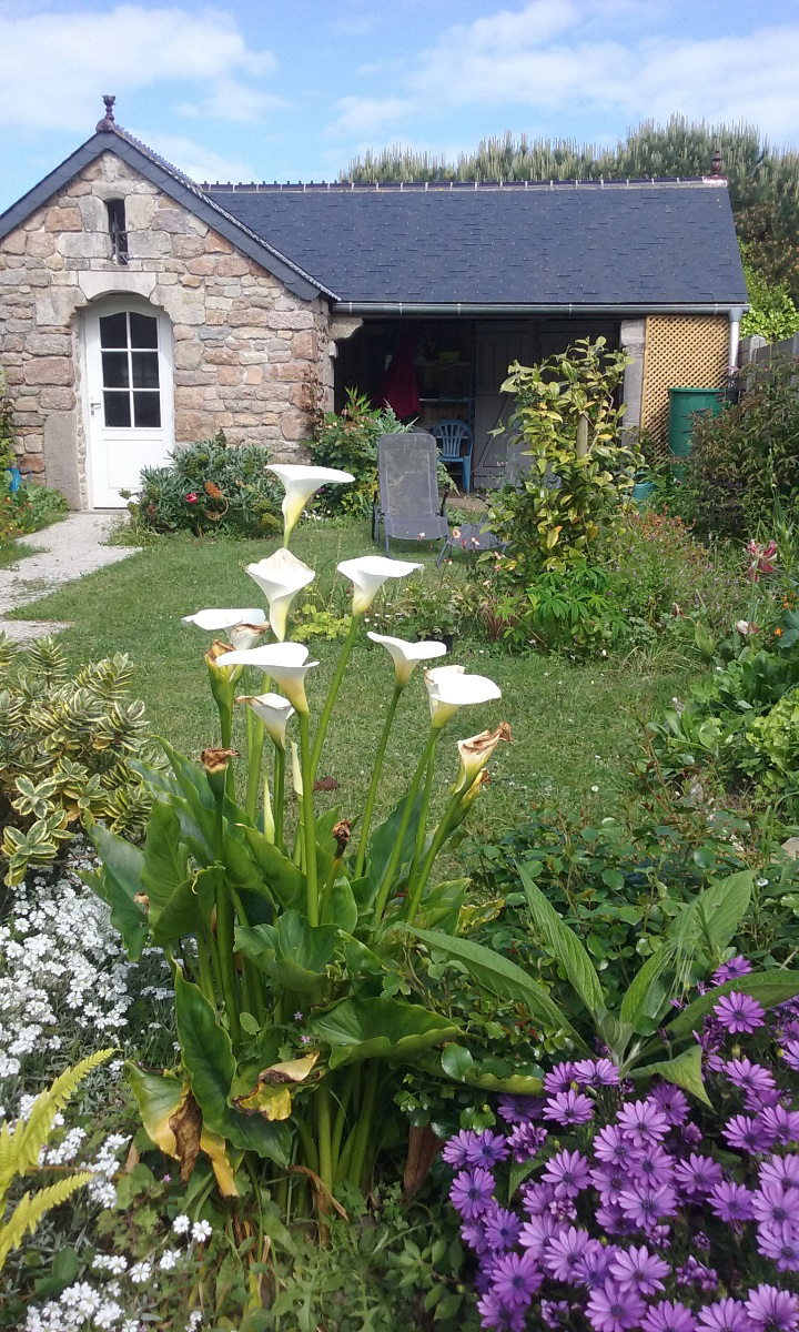 Meublé de tourisme > La Maison Bleue, Barfleur - photo 6