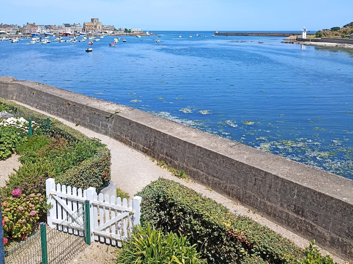 Meublé de tourisme > Ty Bihan, Barfleur - photo 5