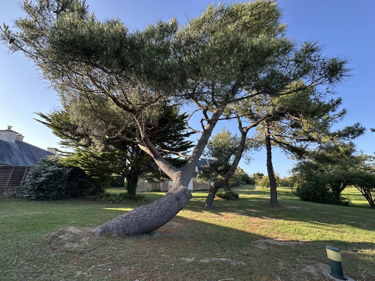 Meublé de tourisme > Hors-Saison, Barneville-Carteret - photo 11