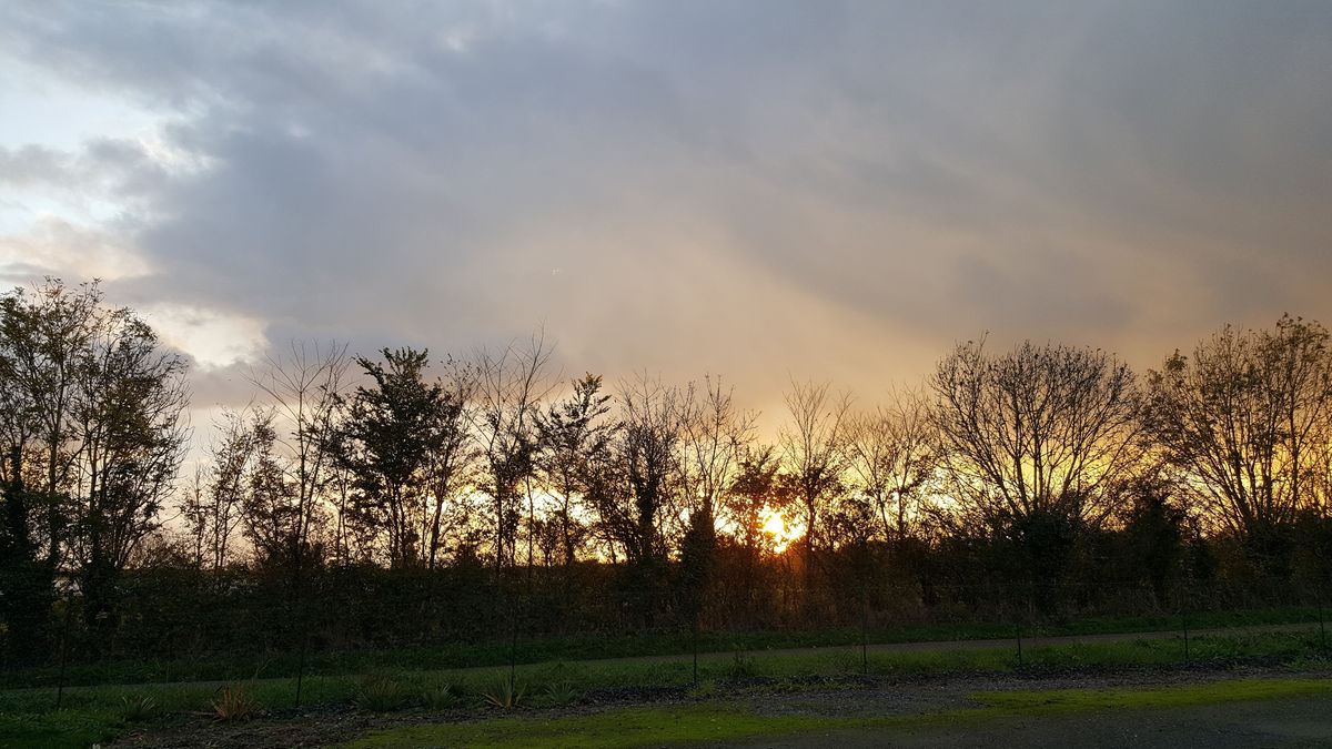 Chambres d'hôtes > Bed & Jeep, Carentan-les-Marais - photo 9