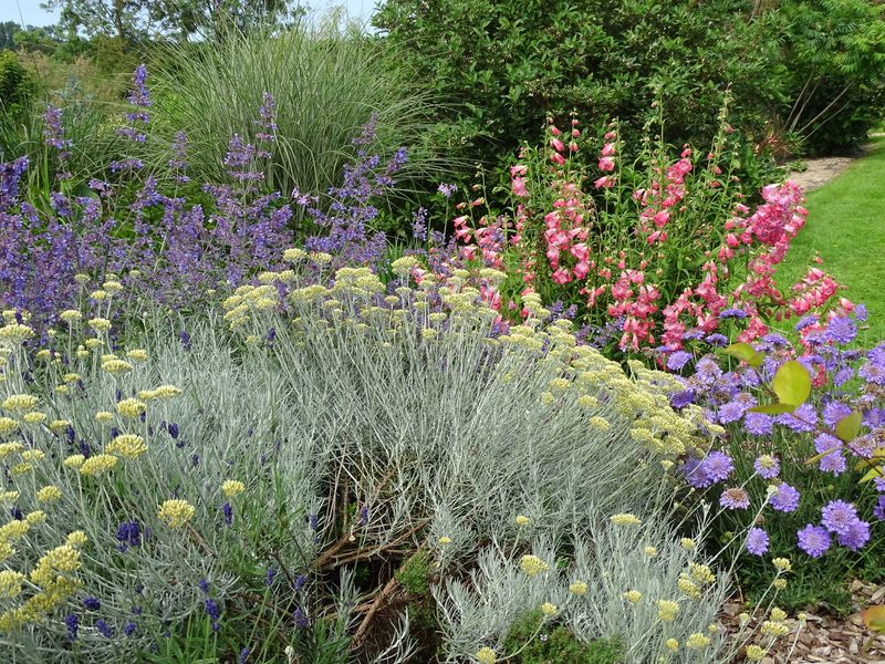 Jardin du Bord de Douve, Beuzeville-la-Bastille - photo 5