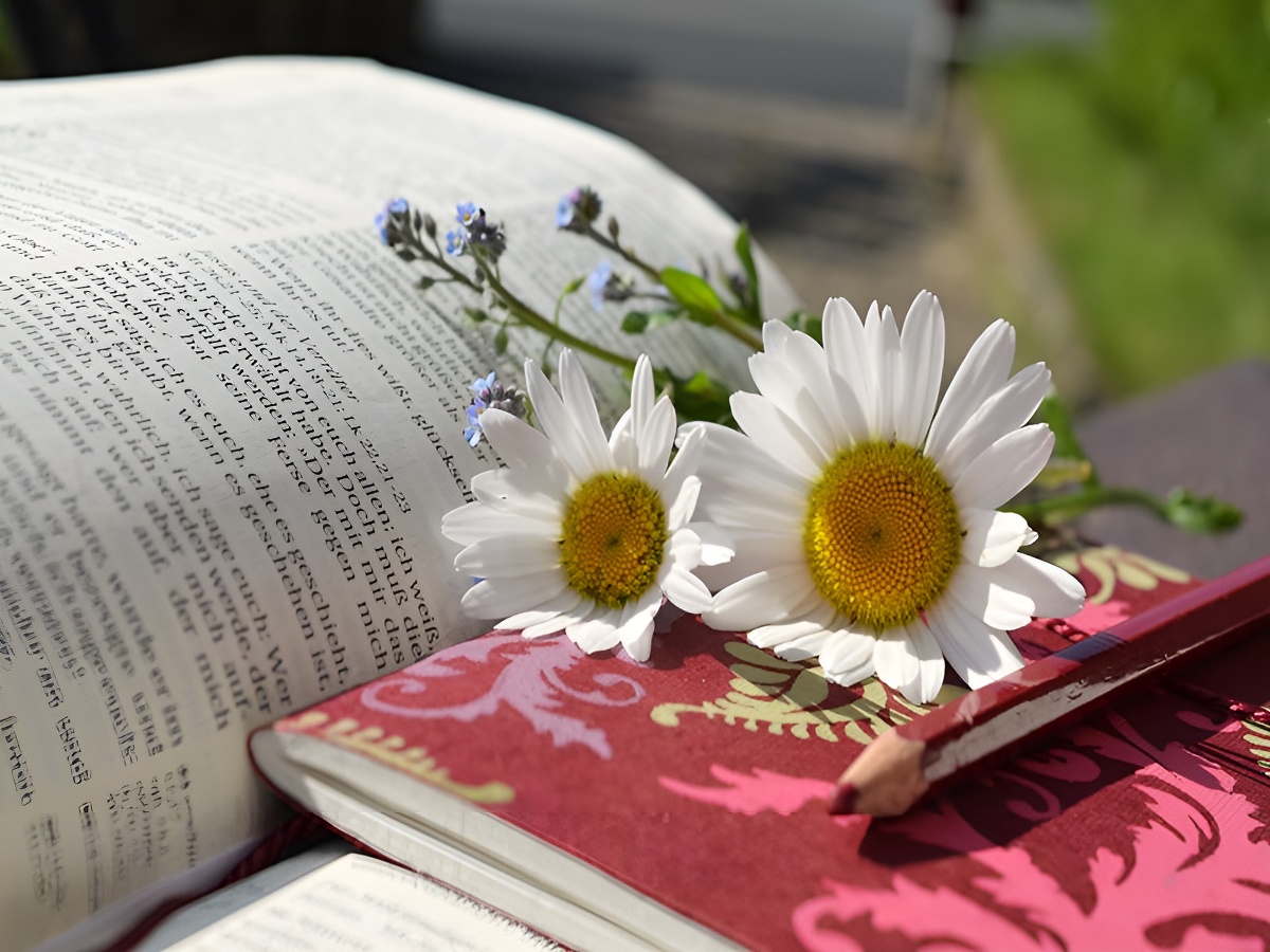 Bibliothèque Au bord des mots