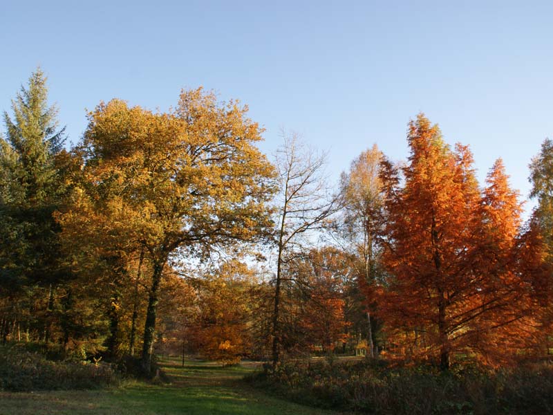 Arboretum de Boiscorde - Rémalard
