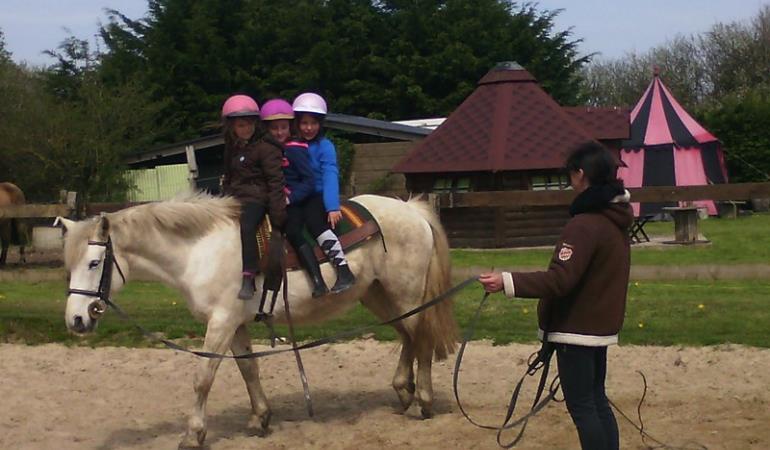 bolleville-ecurie-leseigneur-animations-equestres bolleville-ecurie-leseigneur-animations-equestres