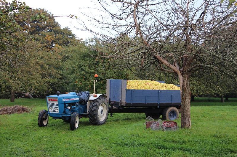 Ferme du Vieux Presbytère