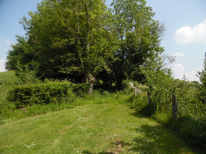 BELLOU : Autour du Manoir de Bellou - 15KM - photo 4