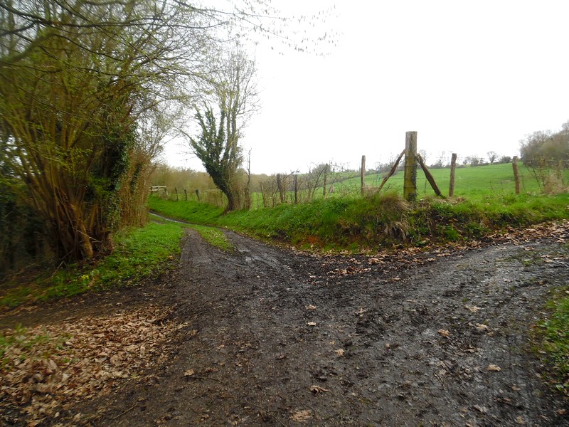 BELLOU : Autour du Manoir de Bellou - 15KM, Livarot-Pays-d'Auge - photo 7
