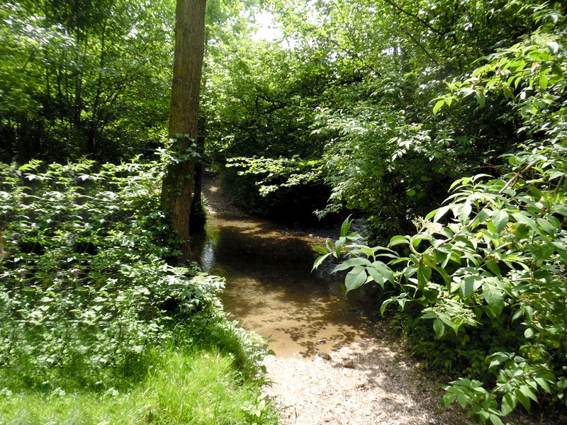 Image de la promenade