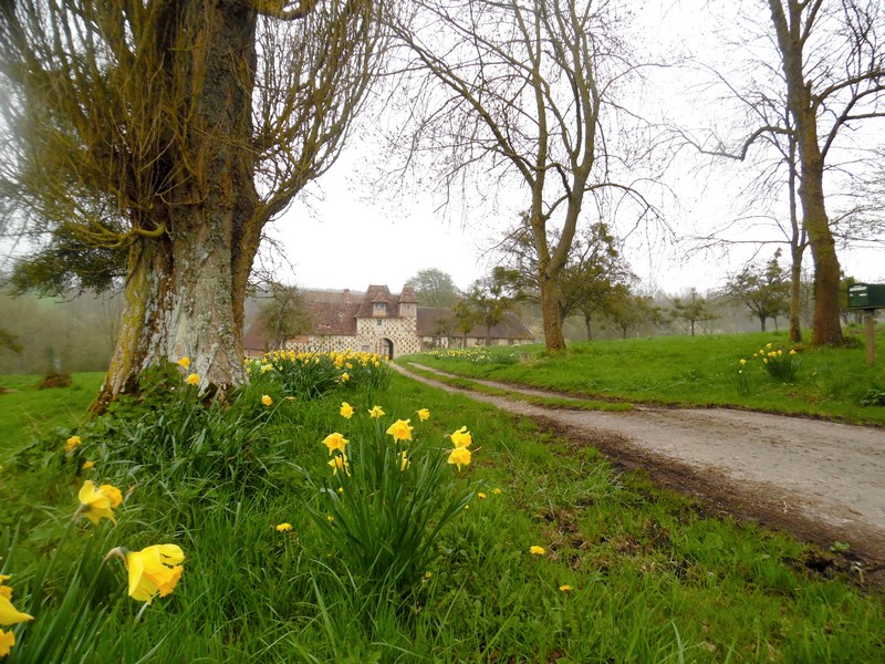 PRETREVILLE  : La boucle de Querville - 6,7KM, Prêtreville - photo 6